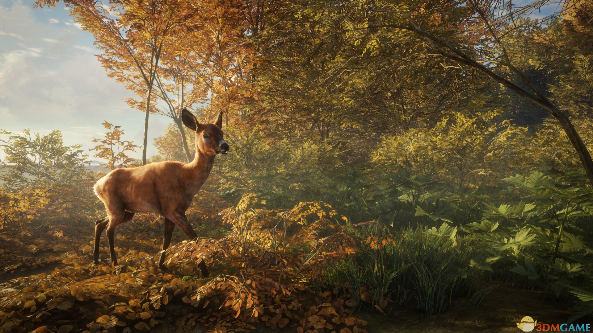 《猎人：荒野的呼唤（theHunter: Call of the Wild）》官方中文 集成DLCs TENOKE镜像版[CN/EN]-8.jpg