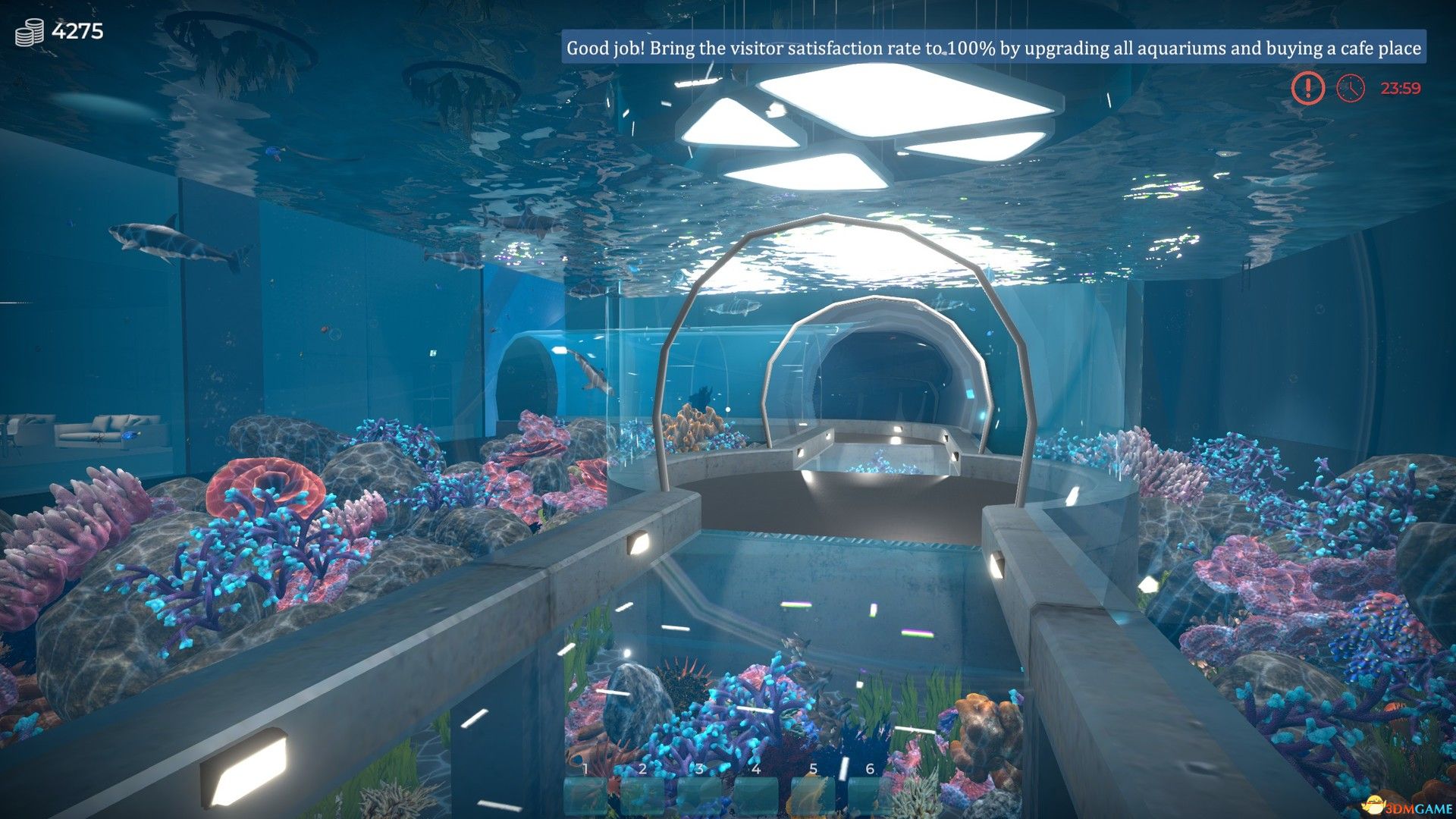 《水族馆（Aquarist）》官方中文 集成日本花园DLC TENOKE镜像版[CN/TW/EN/JP]-3.jpg