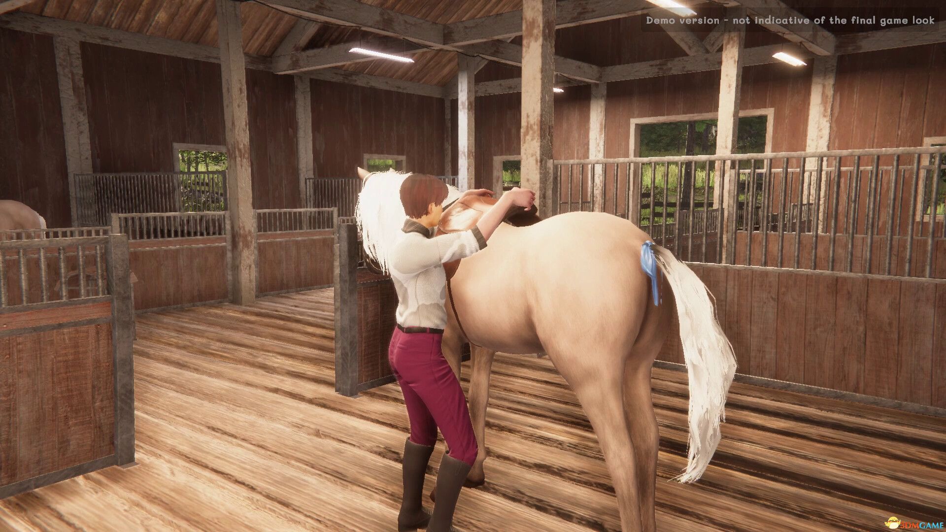 《我的马：灵魂契约（My Horse: Bonded Spirits）》官方中文 SKIDROW镜像版[CN/TW/EN/JP]-6.jpg