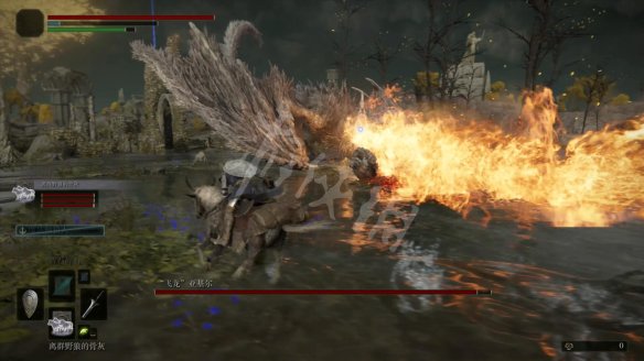 14797ACD.jpg