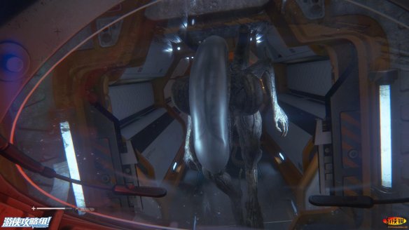 D37C2B00.jpg