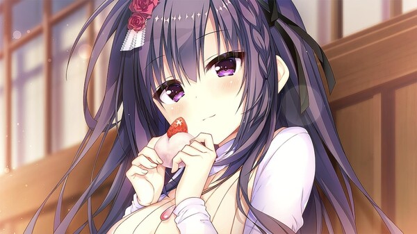 switch《天选庶民的真命之选》中文版nsp下载-3.jpg