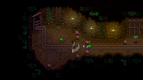 switch《星露谷物语 Stardew Valley》中文版nsz下载+v1.6.9.37补丁-3.jpg