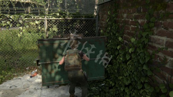 11C1D213.jpg