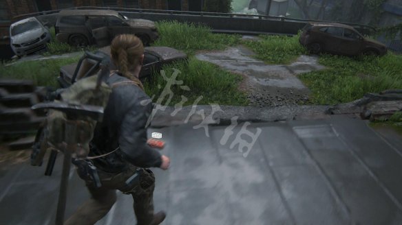 EA373172.jpg