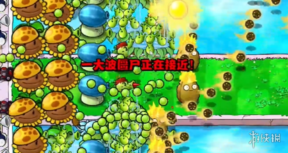584_2024051643009890.png