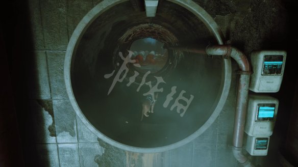 61CDB75E.jpg