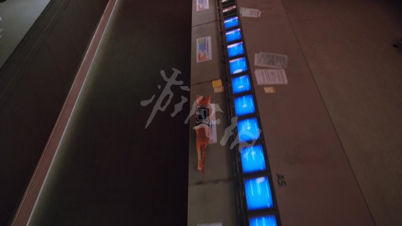 D7F9133F.jpg