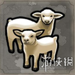 F3DD0931.jpg