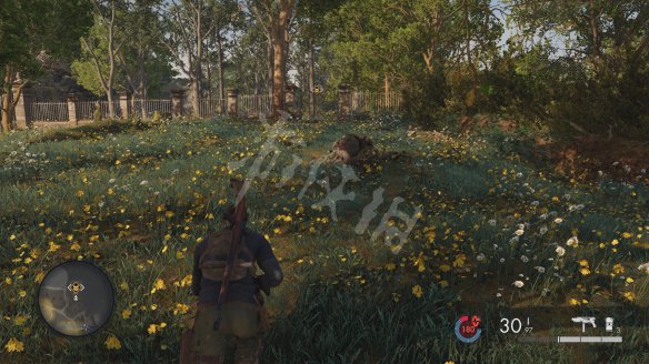 EAABA9F0.jpg