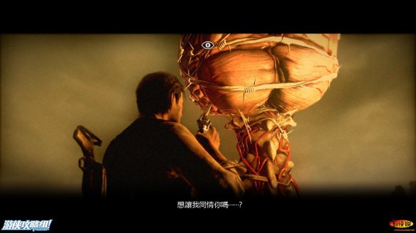 D9520979.jpg