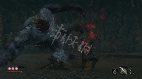 FE3FD6BE.jpg