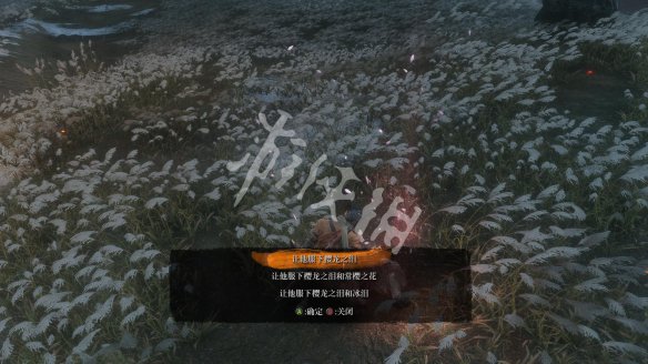 3CC74C9D.jpg