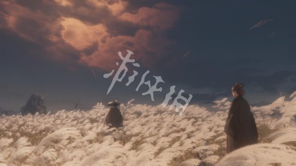 DDDD2B8B.jpg