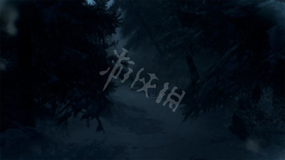 DF3B4664.jpg