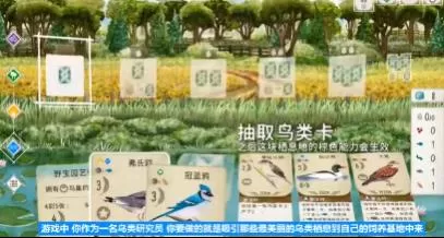 switch《展翅翱翔(Wingspan)》[NSZ]美版中文下载【含1.6.567补丁+4DLC】-4.jpg