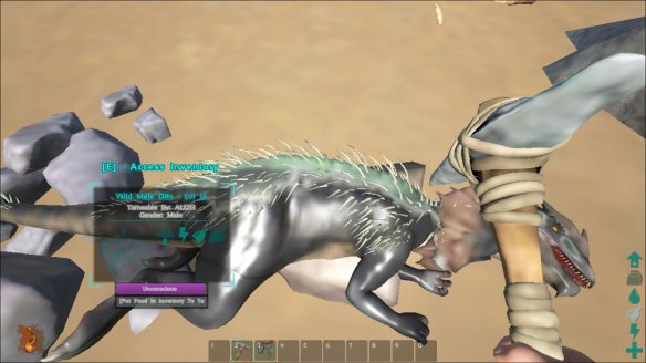 2EAFB2B9.jpg