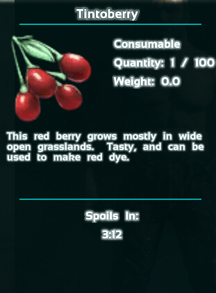 03884123.jpg