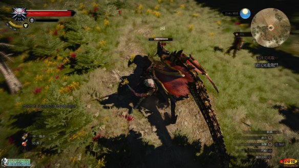 EE241C6A.jpg