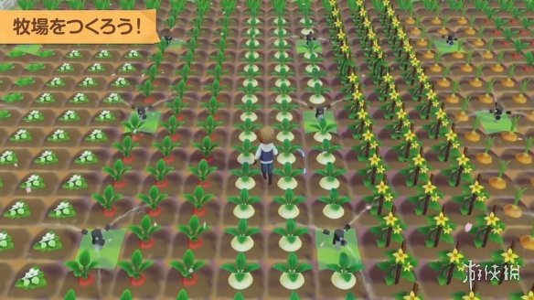 【自DUMP】【5.05】PS4《牧场物语 橄榄镇与希望的大地》CUSA32278[5.05]欧版中文PKG-2.jpg