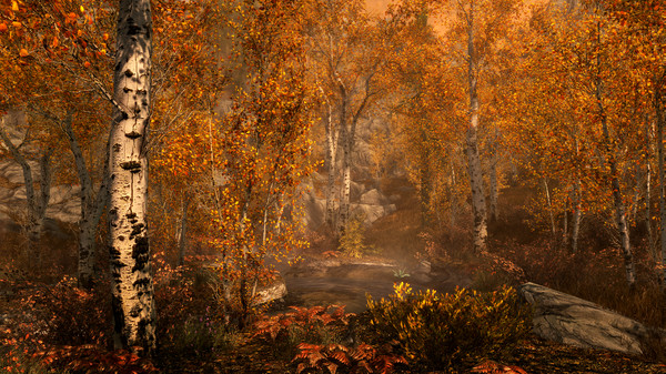 switch《上古卷轴5天际(The Elder Scrolls)》[NSZ]美版&日版中文【含1.1.392.3925134补丁+DLC】-3.jpg