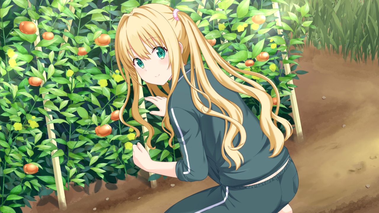 switch《青空下的约定 Refine(01006E201FC0A000)》[XCI]日版【含1.01补丁】-8.jpg