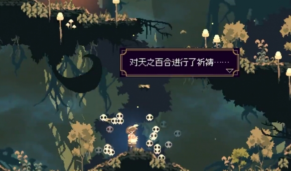 584_202402019420675.png