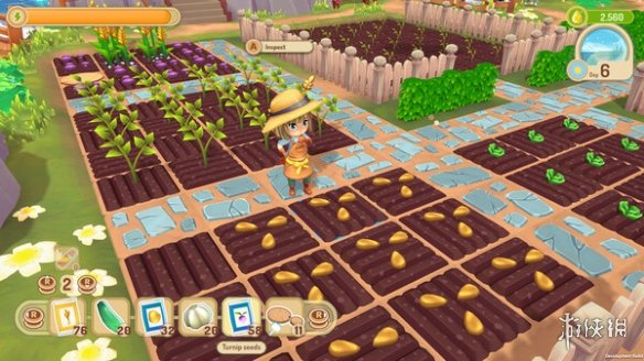 switch《甘露岛(Sugardew Island)》[NSZ]美版中文【含1.0.3补丁】-2.jpg