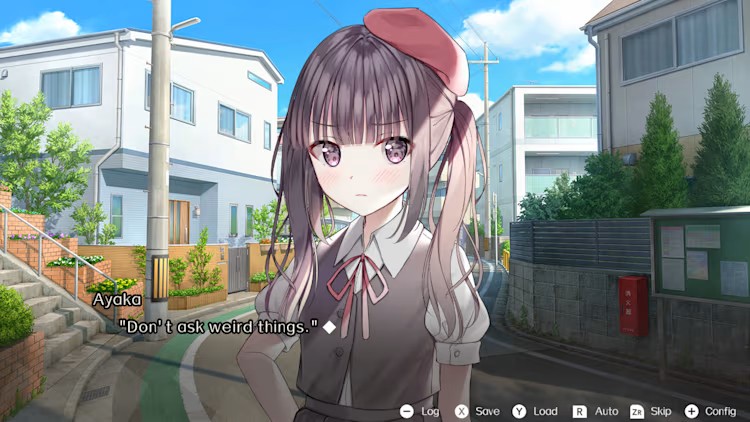 2.jpg