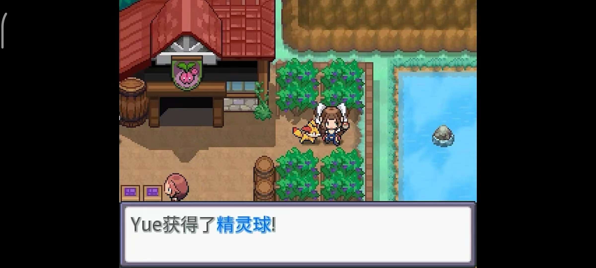 【手机/PC双端】宝可梦：Z，内置全能金手指！-3.jpg