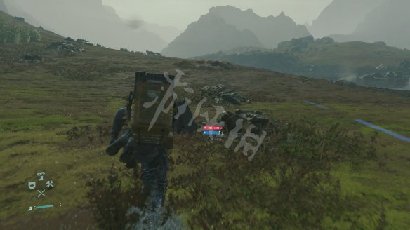 ADA6C916.jpg