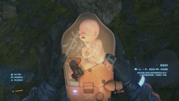 7AFB1BFA.jpg