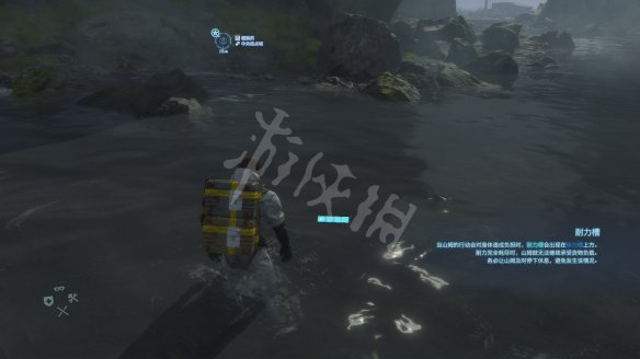 0831F39E.jpg