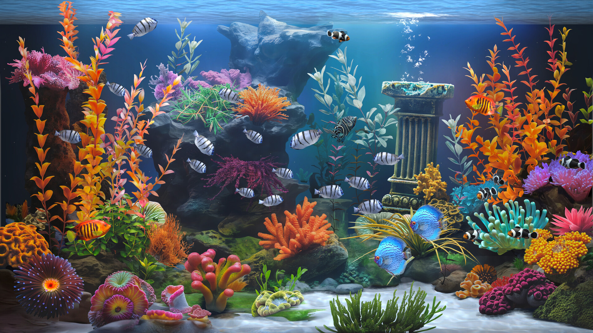 禅意水族馆 Build.21145897（Zen Aquarium）免安装中文版[百度夸克]-4.jpg