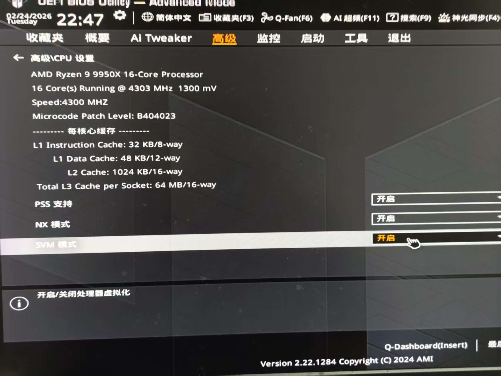D密-虚拟机通用设置【增：置顶层Denuvo一键配置工具】-11.jpg