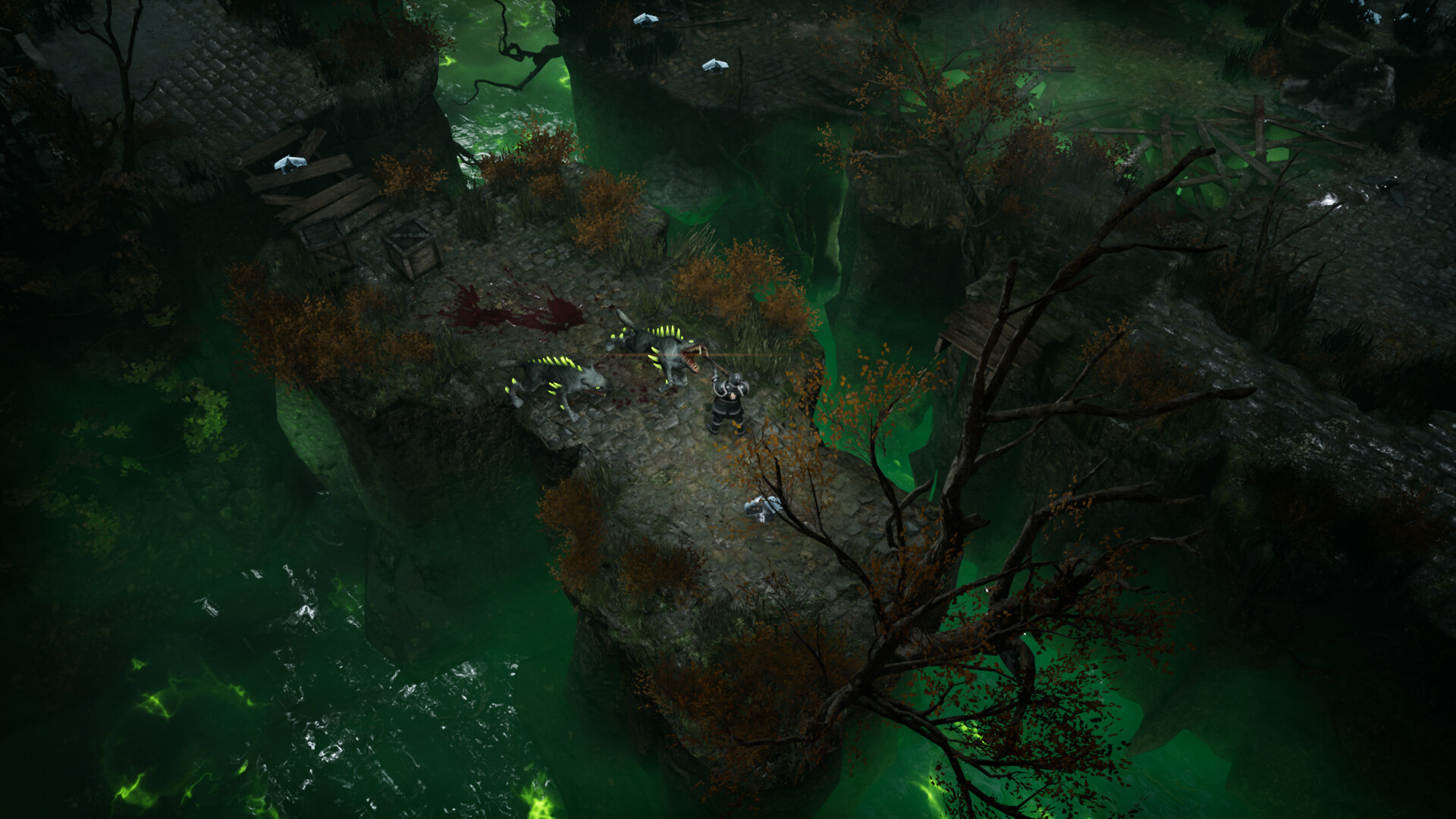 REMEDIUM Build.22185060 免安装简体中文绿色版-3.jpg